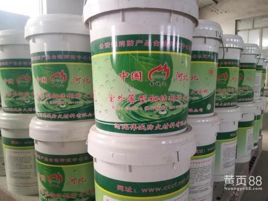 鋼結構防火涂料規(guī)范最新版（鋼結構防火涂料應用技術規(guī)范）