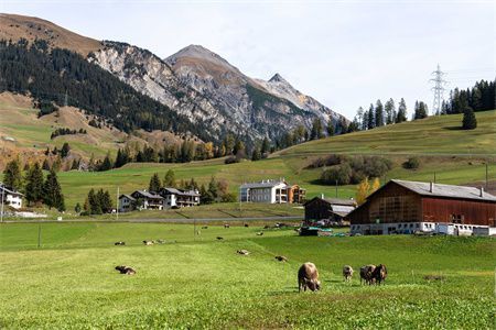 民用鋼結構住宅（鋼結構住宅的市場前景如何？）