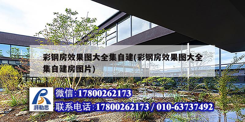 彩鋼房效果圖大全集自建(彩鋼房效果圖大全集自建房圖片) 結構機械鋼結構設計